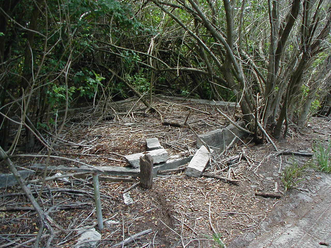 Florida Dipping Vats